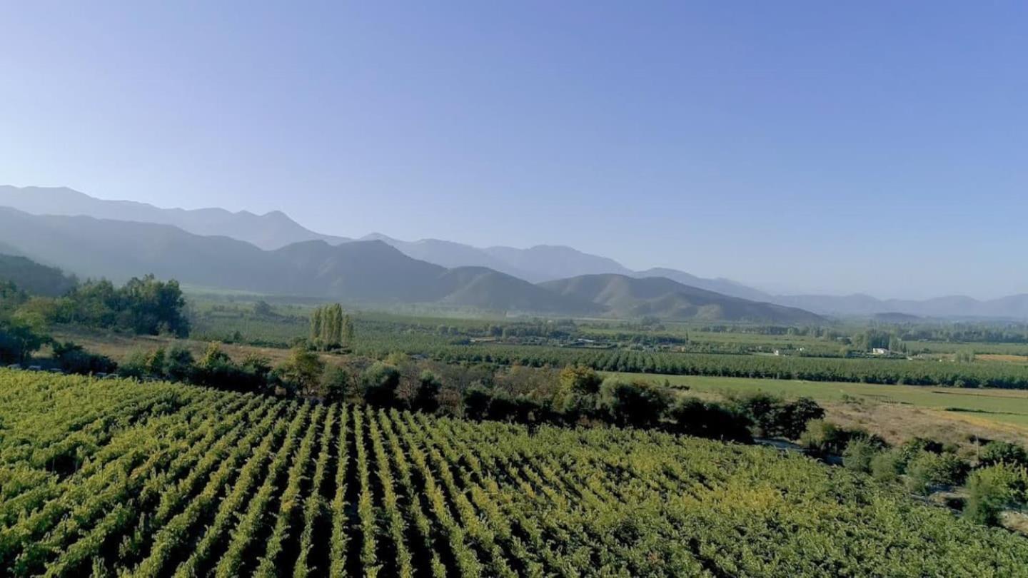 Vina Lof - Maipo Valley Bed & Breakfast In Winery Paine Esterno foto