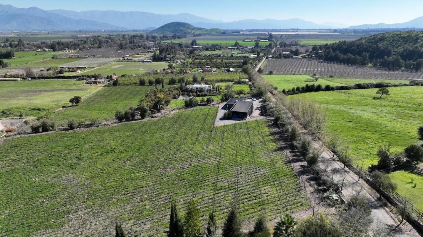 Vina Lof - Maipo Valley Bed & Breakfast In Winery Paine Esterno foto