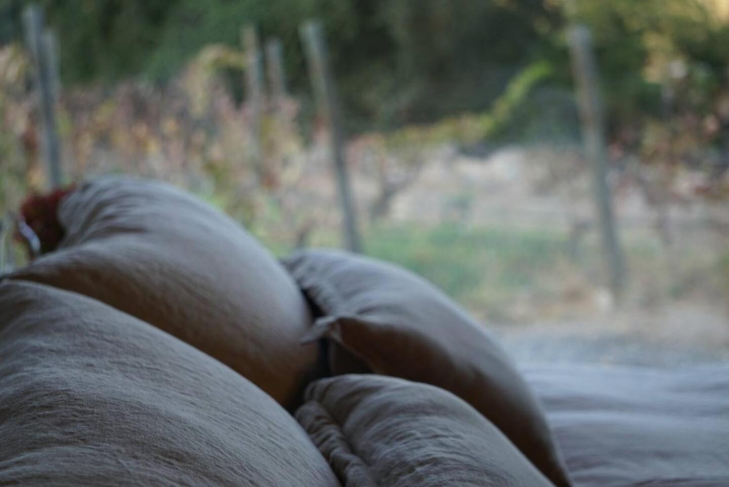 Vina Lof - Maipo Valley Bed & Breakfast In Winery Paine Esterno foto