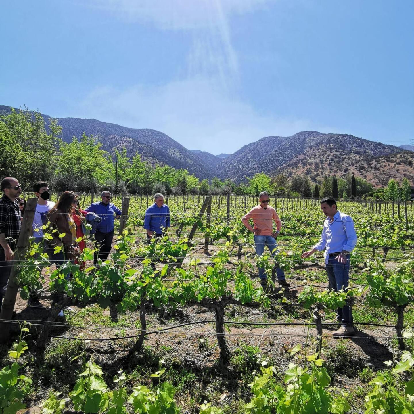 Vina Lof - Maipo Valley Bed & Breakfast In Winery Paine Esterno foto