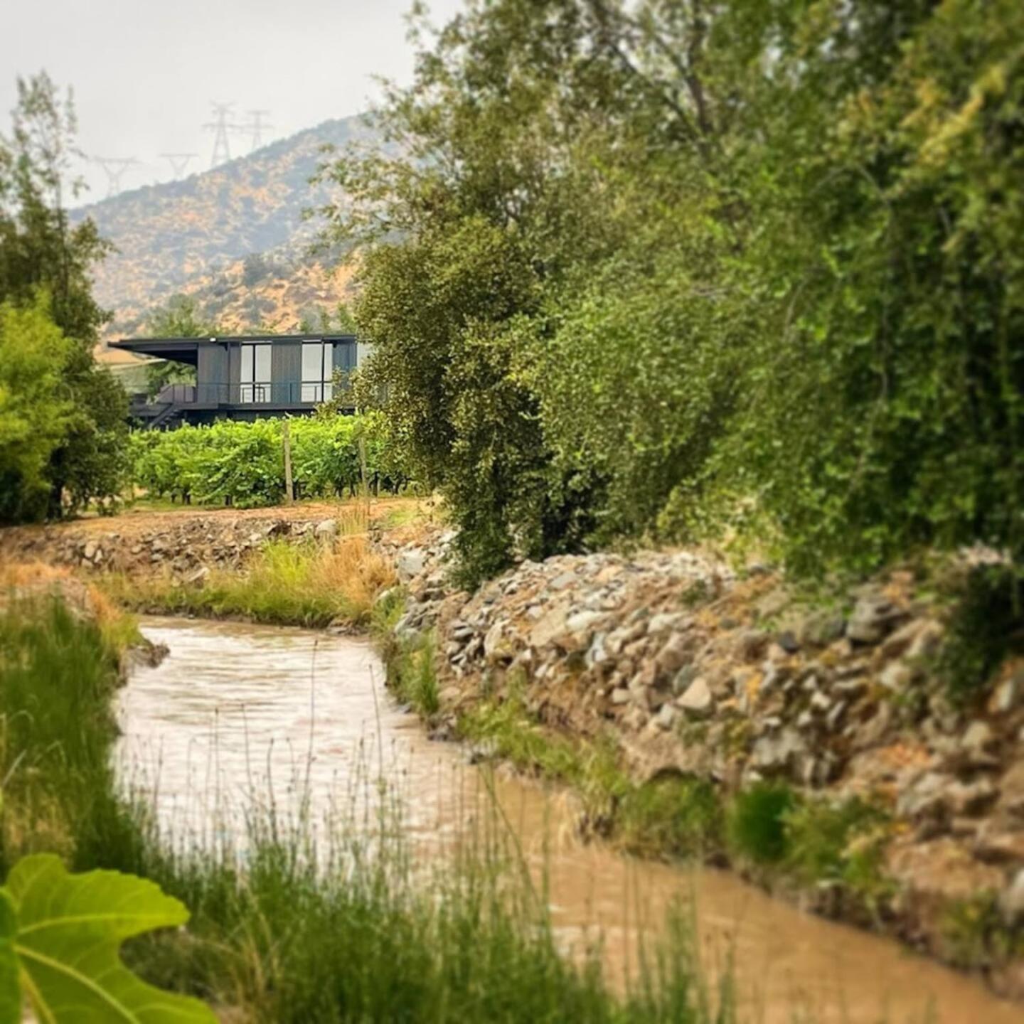Vina Lof - Maipo Valley Bed & Breakfast In Winery Paine Esterno foto