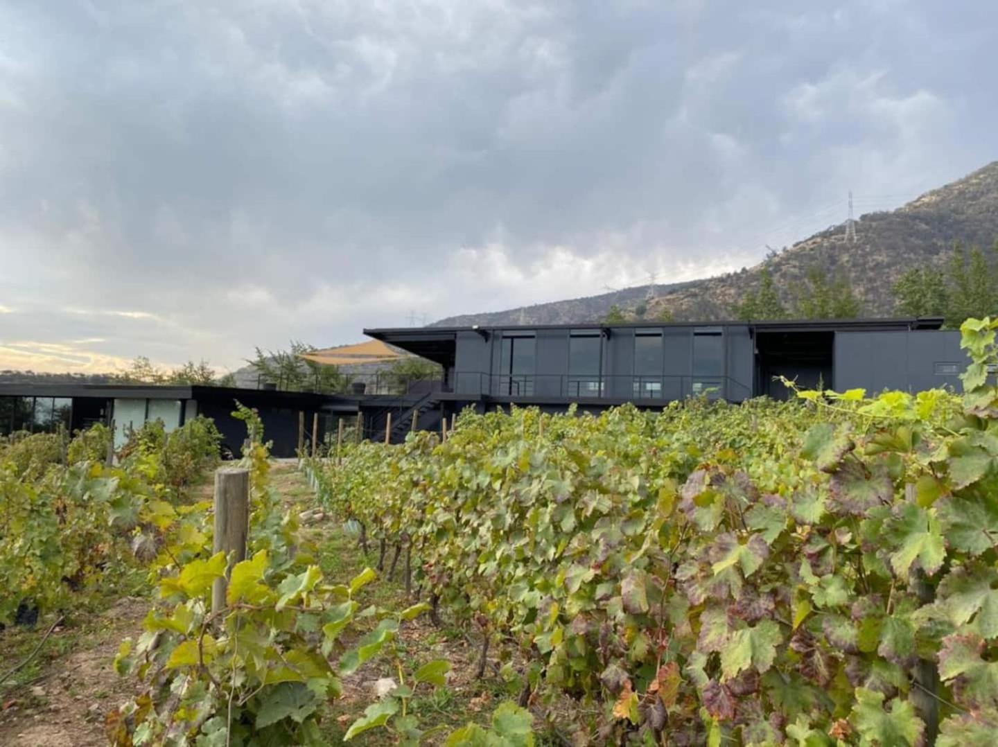 Vina Lof - Maipo Valley Bed & Breakfast In Winery Paine Esterno foto