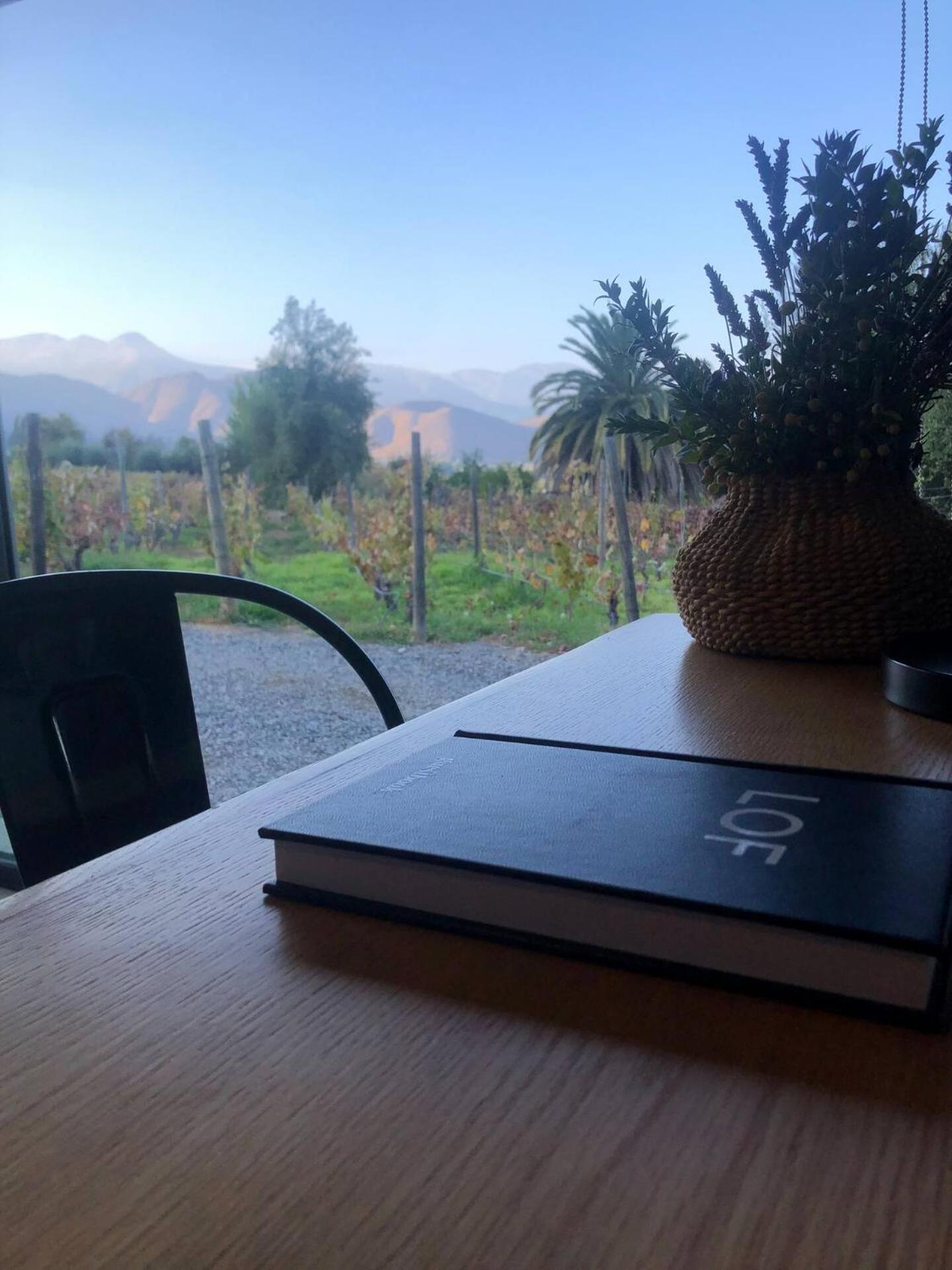Vina Lof - Maipo Valley Bed & Breakfast In Winery Paine Esterno foto