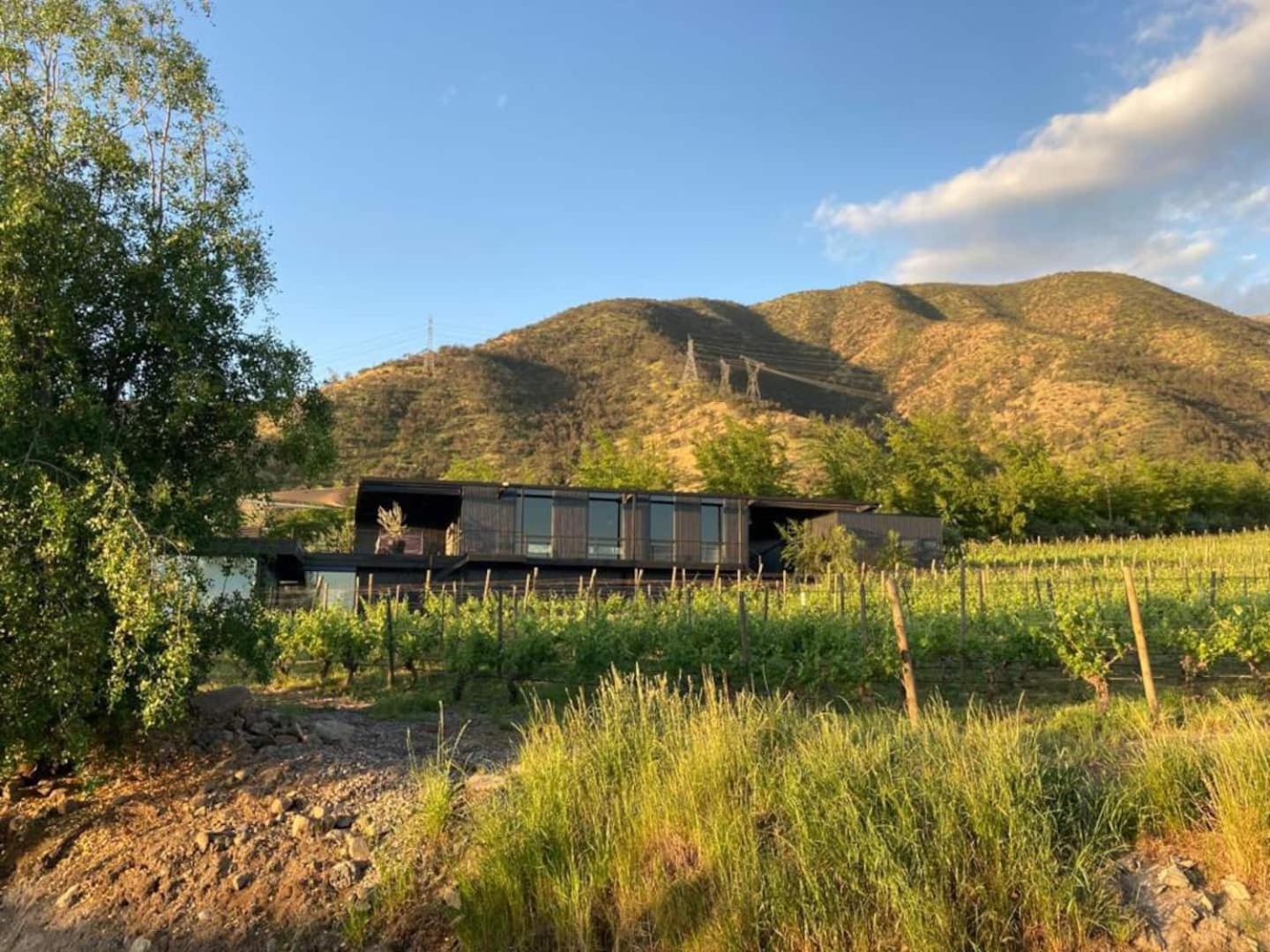 Vina Lof - Maipo Valley Bed & Breakfast In Winery Paine Esterno foto